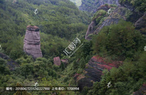 冠豸山大地之根