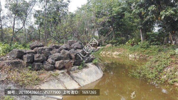 學校植物園