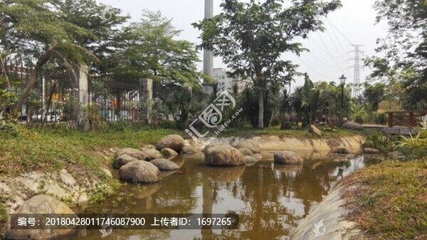 學(xué)校植物園