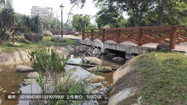 學校植物園
