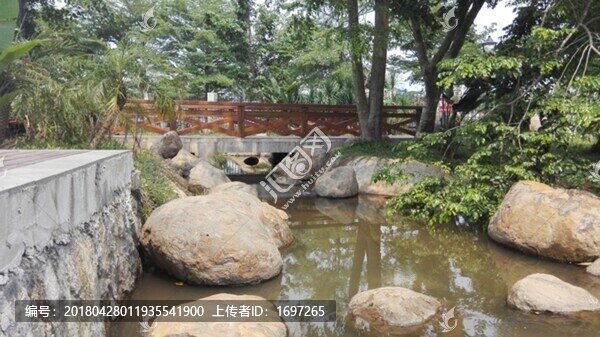 學校植物園