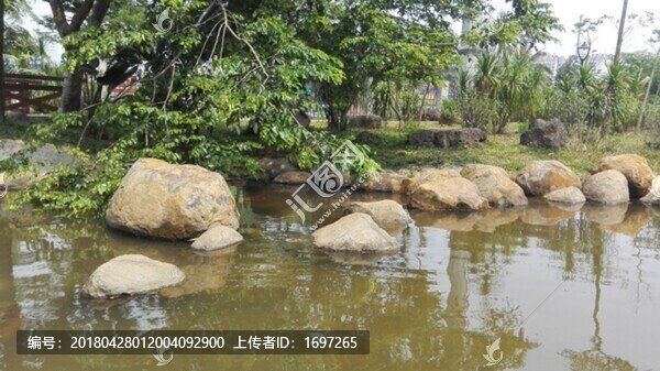 學(xué)校植物園