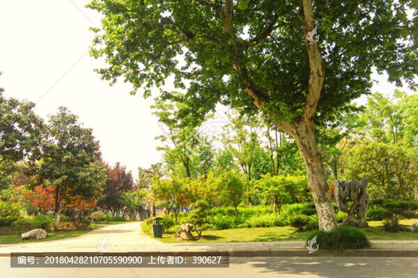街邊公園