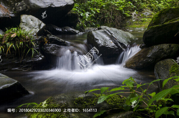 峽谷青苔溪流