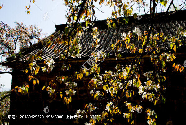轎頂山
