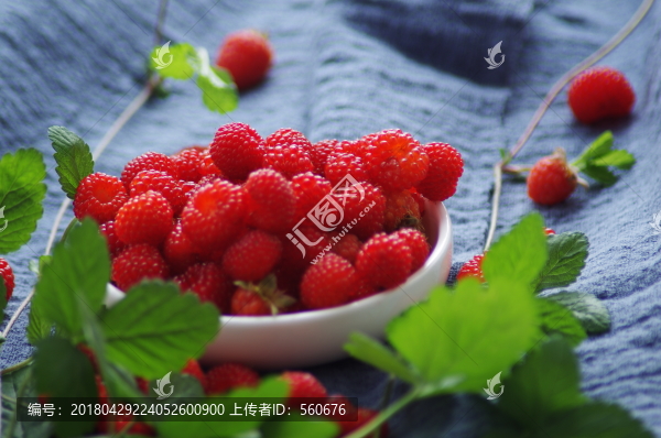 樹莓