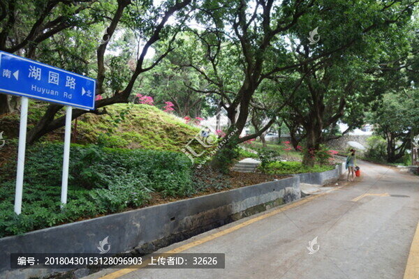 官湖小學(xué)路