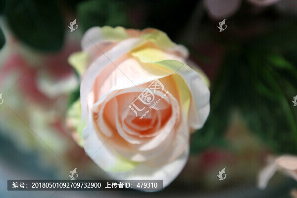 花卉,絹花,花墻,花朵,花