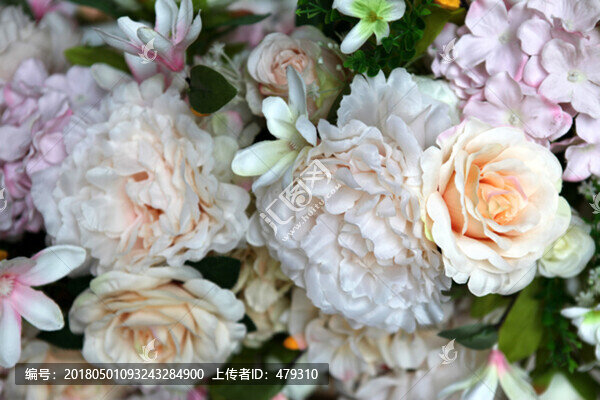 花卉