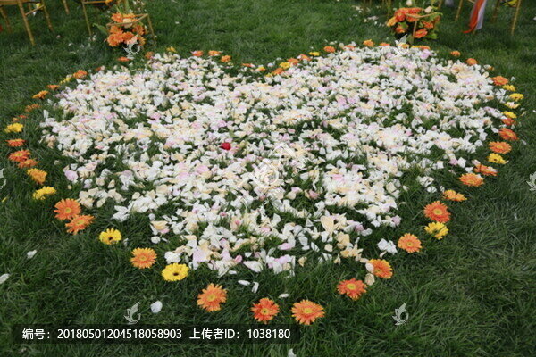浪漫心,草坪婚禮