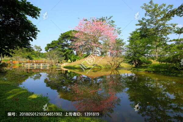 中國科學(xué)院西雙版納熱帶植物園