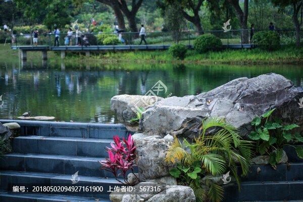 香蜜公園
