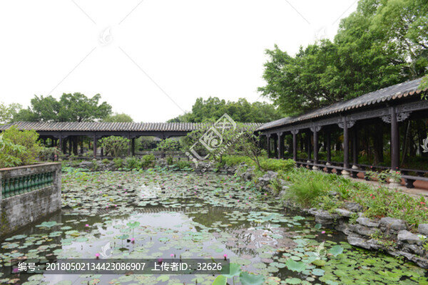蓮花池