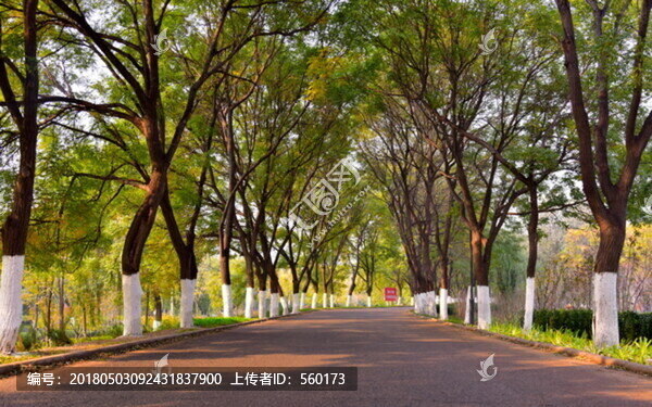 河邊小路