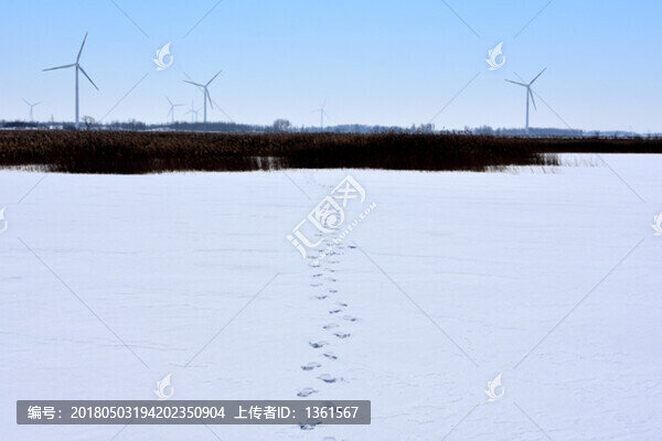 雪域風電,雪地腳印