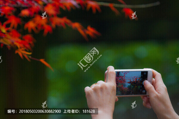 紅葉