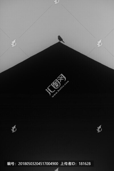 屋頂?shù)男▲B