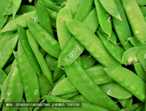 荷蘭豆