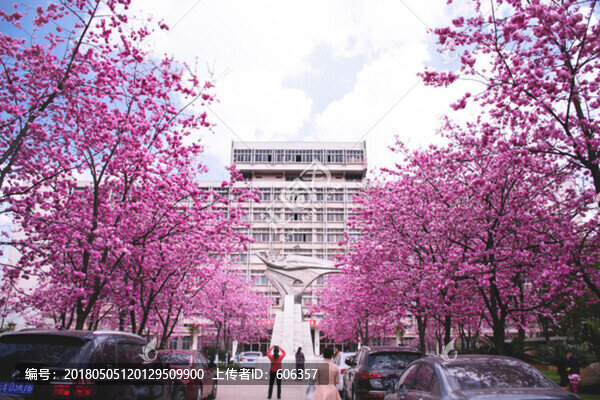 昆明理工大學(xué)