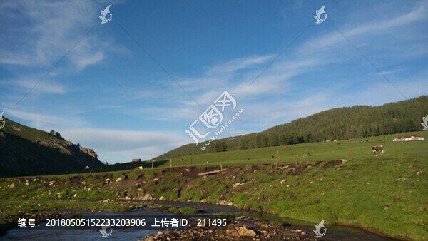 阿爾泰山后山夏牧場,風(fēng)光,新疆