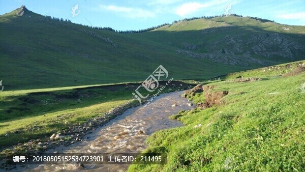 阿爾泰山后山夏牧場(chǎng),風(fēng)光,新疆