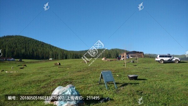 阿爾泰山后山夏牧場