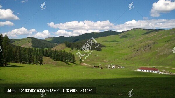 阿爾泰山后山夏牧場