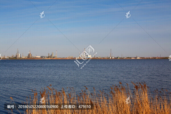 大慶,濕地,化工廠,湖水,湖面