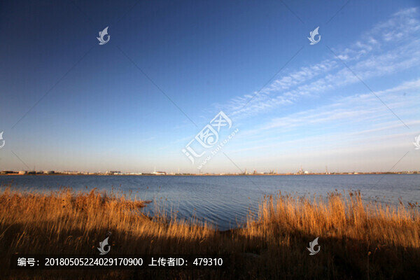 化工廠,湖水,湖面