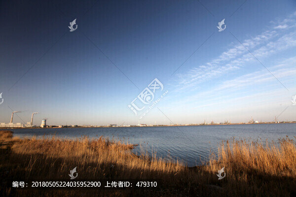 大慶,濕地,化工廠,湖水