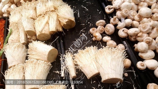 金針菇