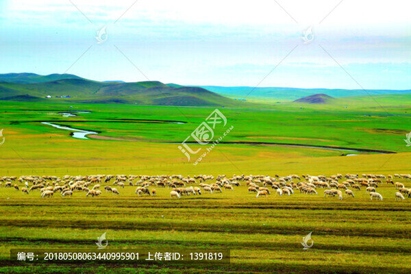 呼倫貝爾,陳巴爾虎旗,草原風(fēng)光