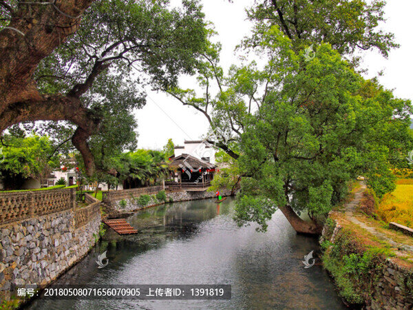 上饒市,婺源縣,嚴田古樟民俗園