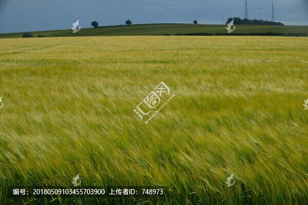 鄉(xiāng)村風(fēng)光