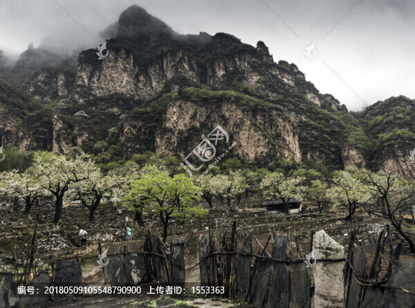 山村