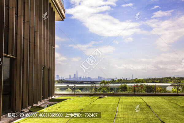 藍天草地