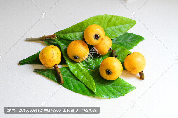 枇杷