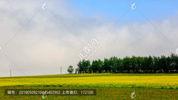 內(nèi)蒙古呼倫貝爾草原夏天