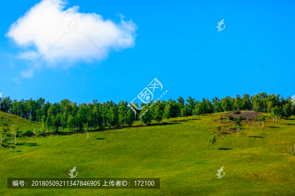 內(nèi)蒙古呼倫貝爾草原夏天