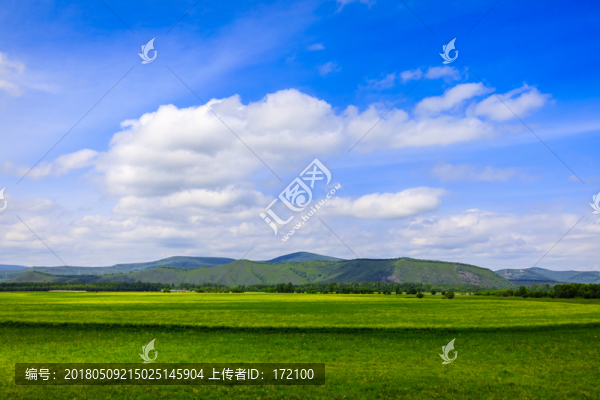 內(nèi)蒙古呼倫貝爾草原夏天