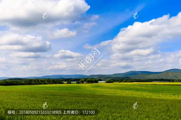 內(nèi)蒙古呼倫貝爾草原夏天