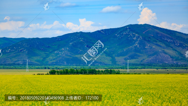 內(nèi)蒙古呼倫貝爾草原夏天