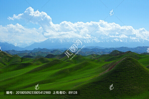 天山牧場
