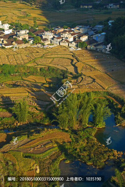 秋收田園