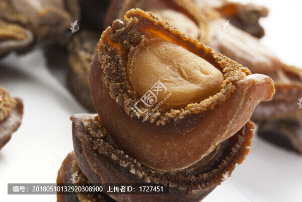鮑魚