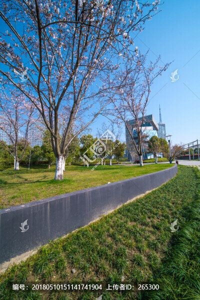 杭州望江公園