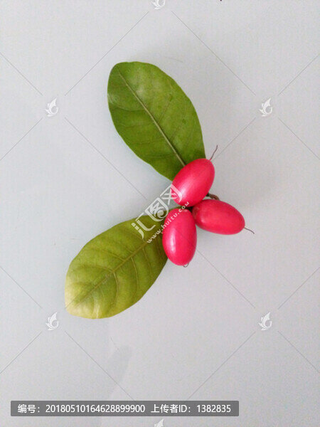 神秘果