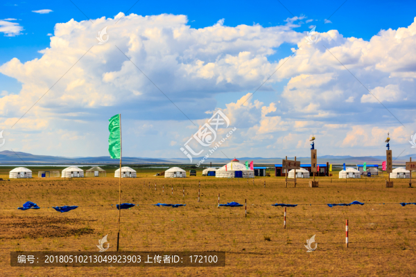 內(nèi)蒙古呼倫貝爾草原夏天