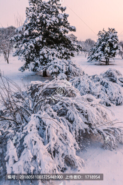 東北冬天霧凇樹掛雪景09
