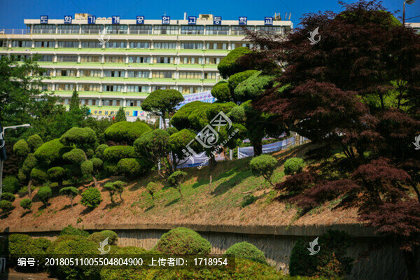 韓國首爾城市街頭建筑園林景觀
